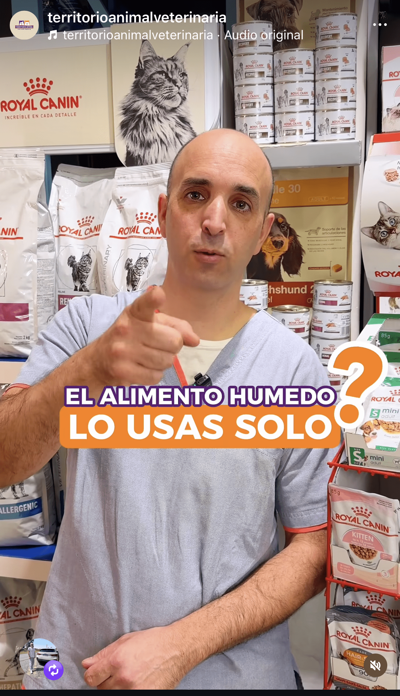 Feed de Instagram — Territorio Animal Veterinaria